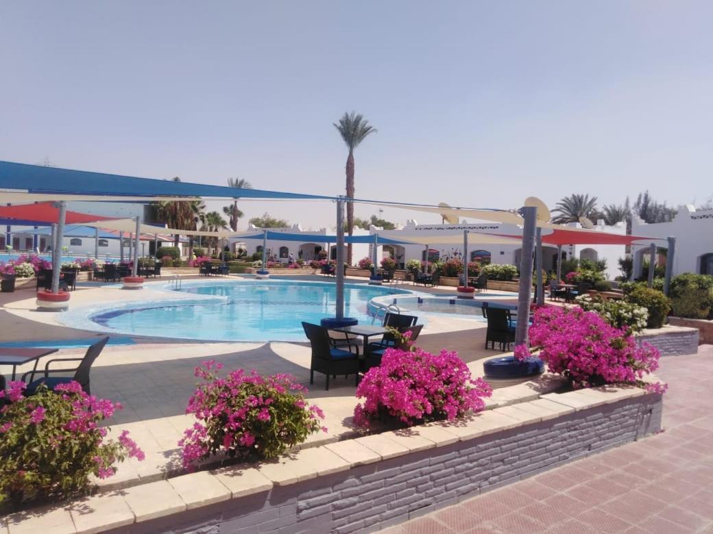 Assiut Cement Hotel Zewnętrze zdjęcie